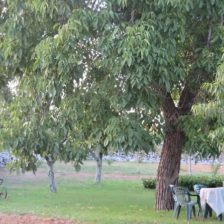 Soldo Međugorje