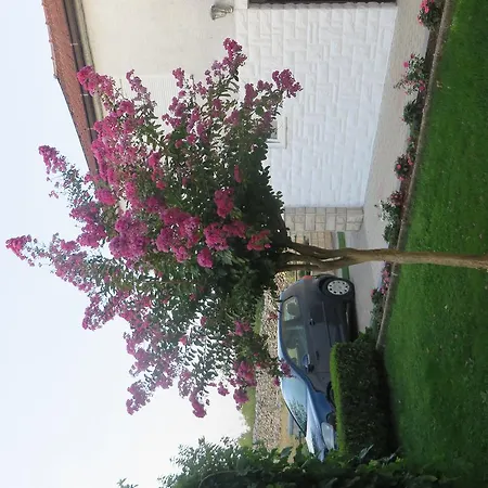 Soldo